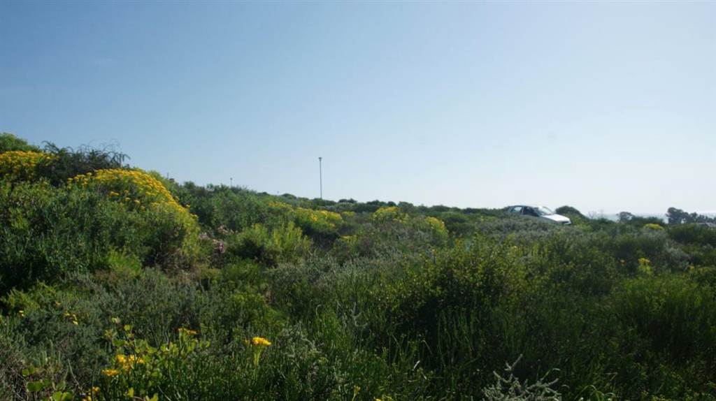 448 m² Land available in St Helena Views photo number 5
