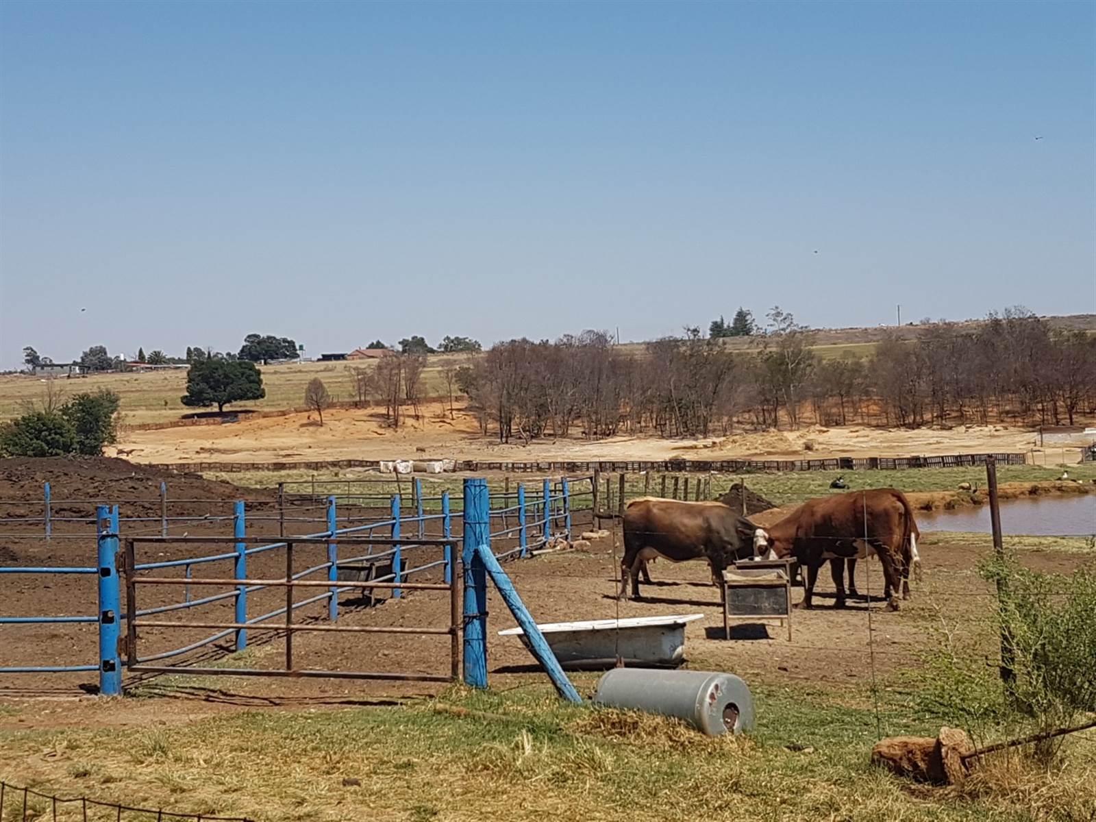 15.7 ha Farm in Randfontein photo number 23