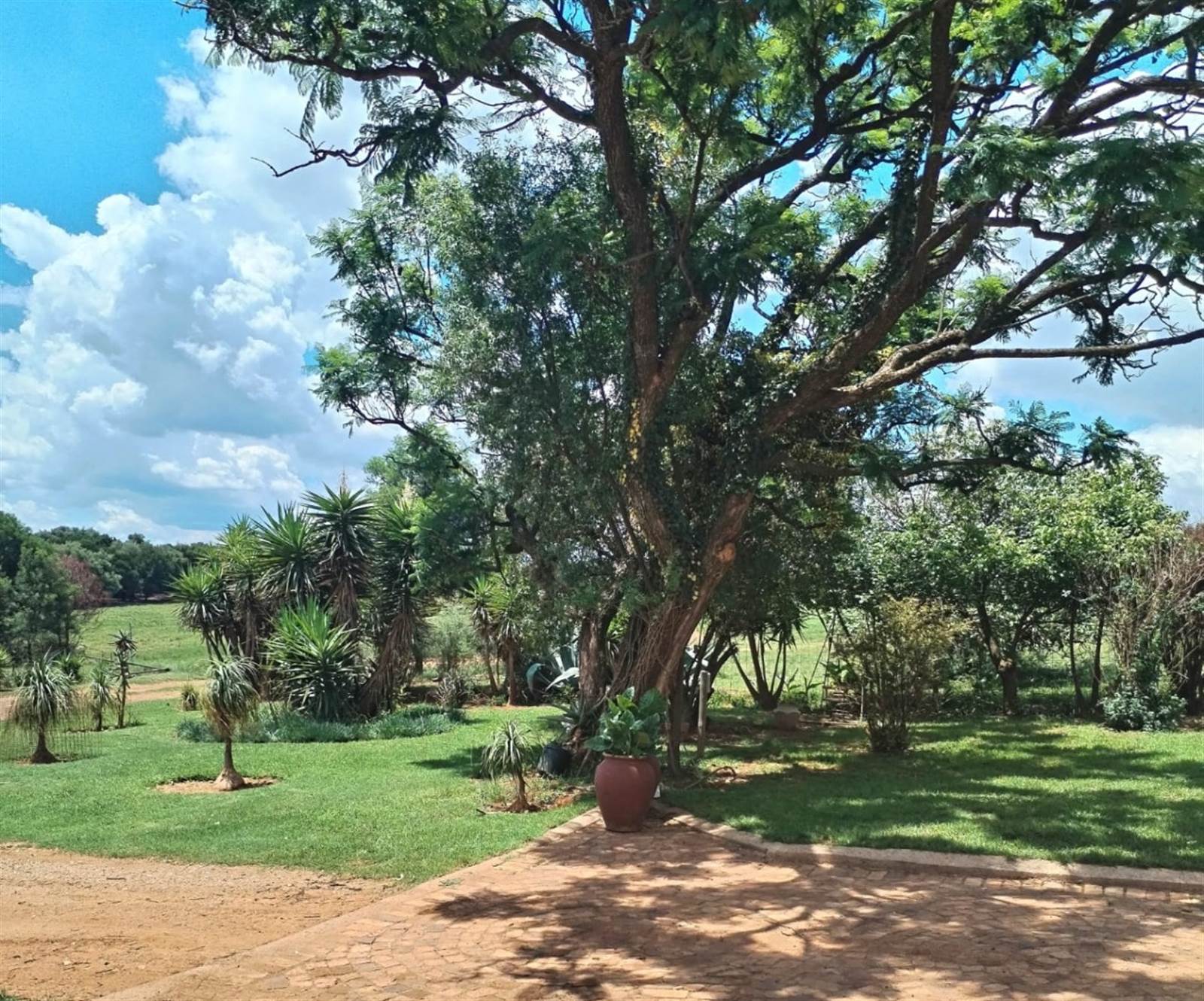 15.7 ha Farm in Randfontein photo number 14
