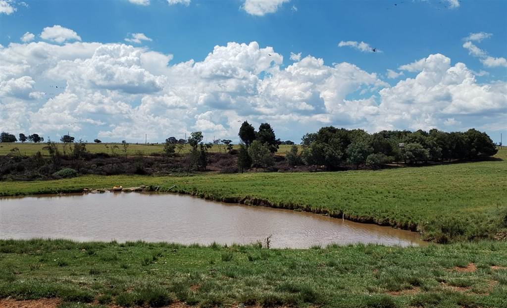 15.7 ha Farm in Randfontein photo number 2