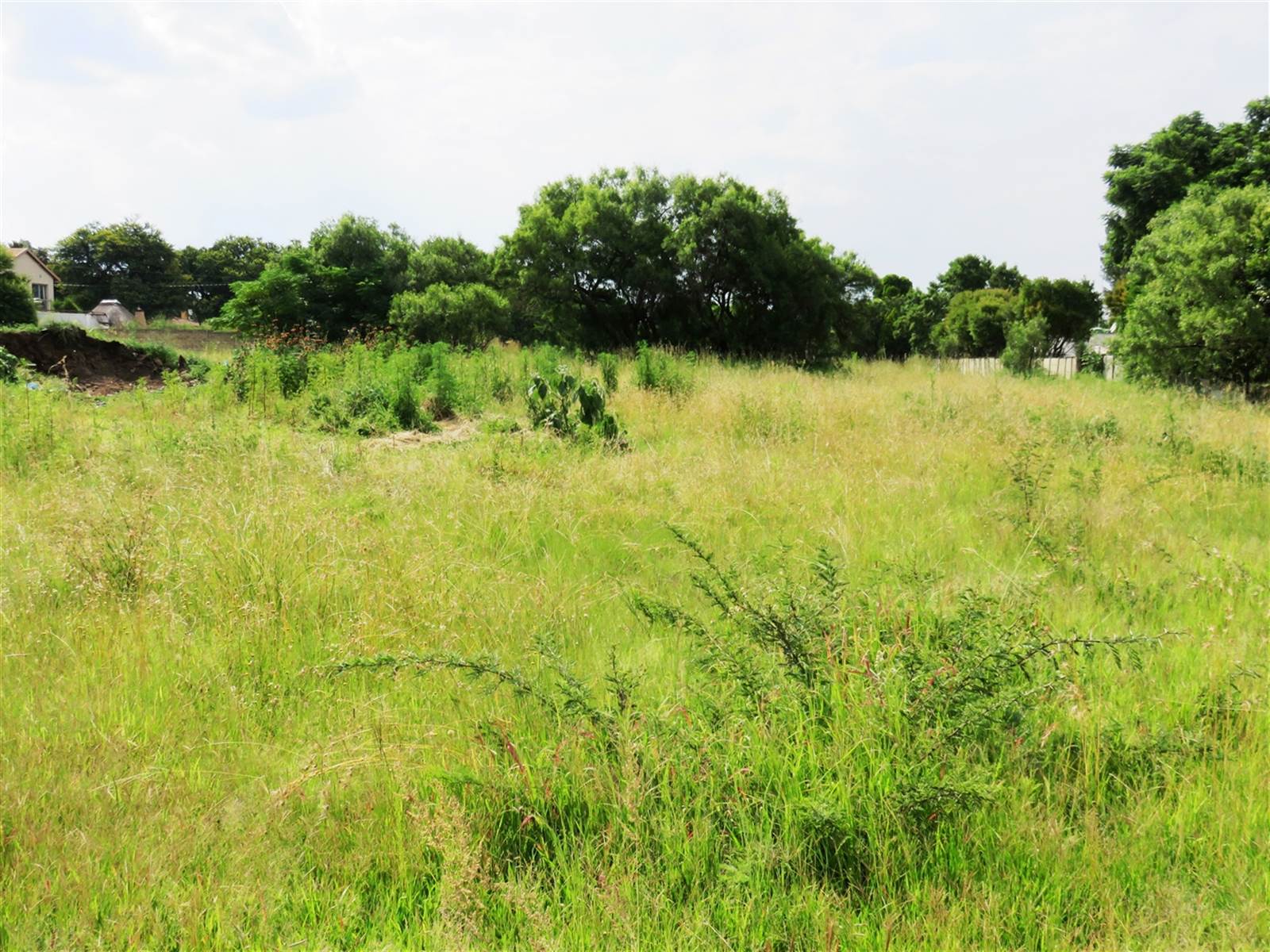 1460 m² Land available in Oranjeville photo number 11