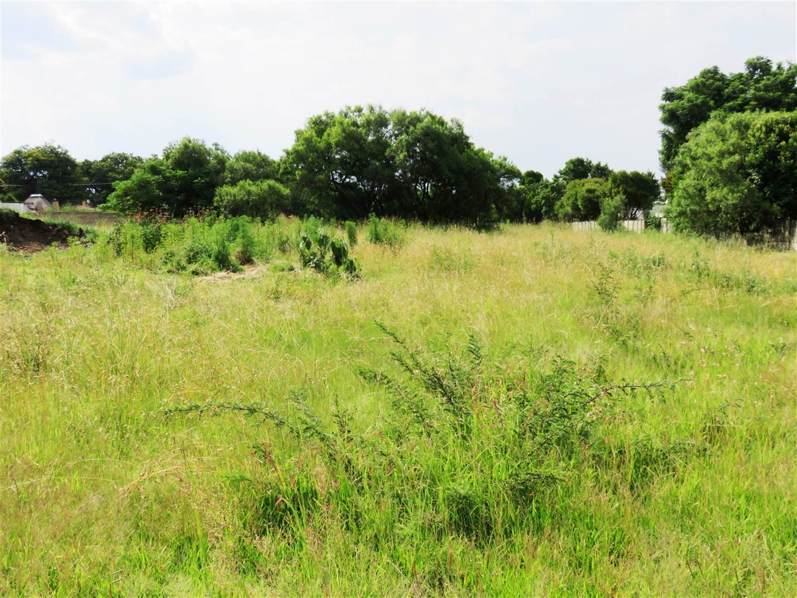 1460 m² Land available in Oranjeville photo number 5