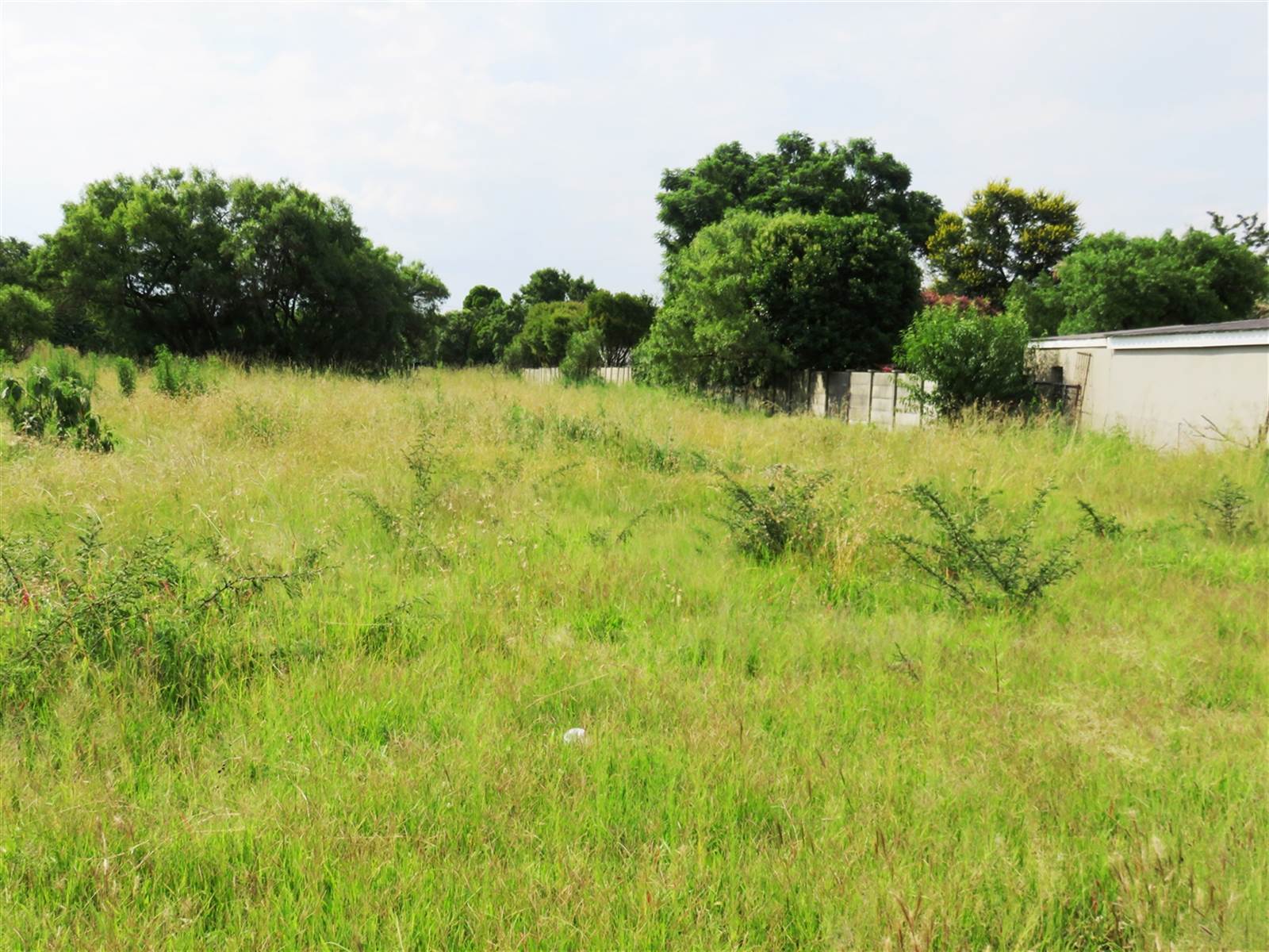1460 m² Land available in Oranjeville photo number 4