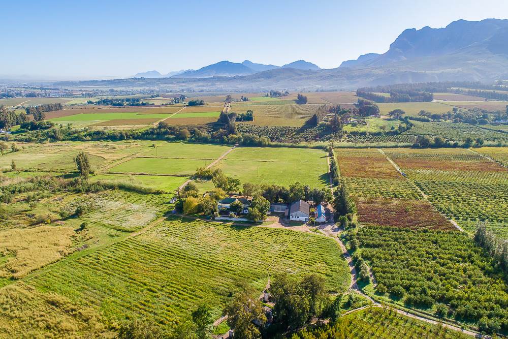 42 ha Farm in Northern Paarl photo number 6