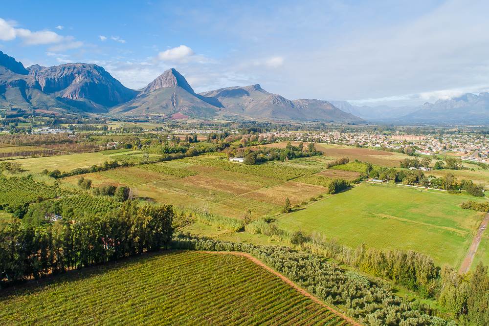 42 ha Farm in Northern Paarl photo number 5