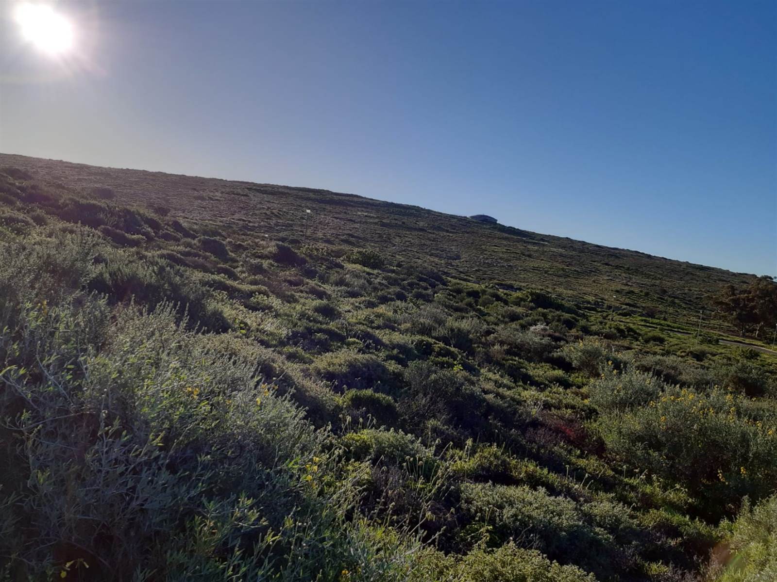 569 m² Land available in St Helena Views photo number 9
