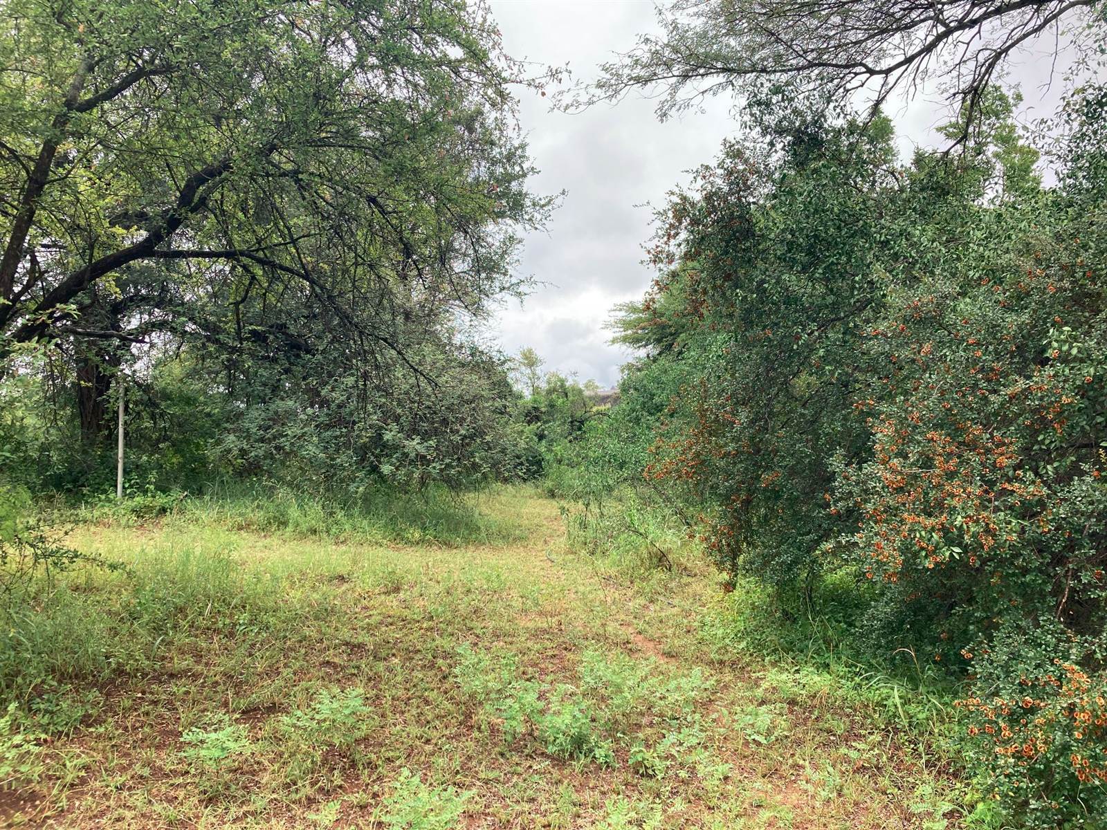 36.2 ha Land available in Hoedspruit photo number 8