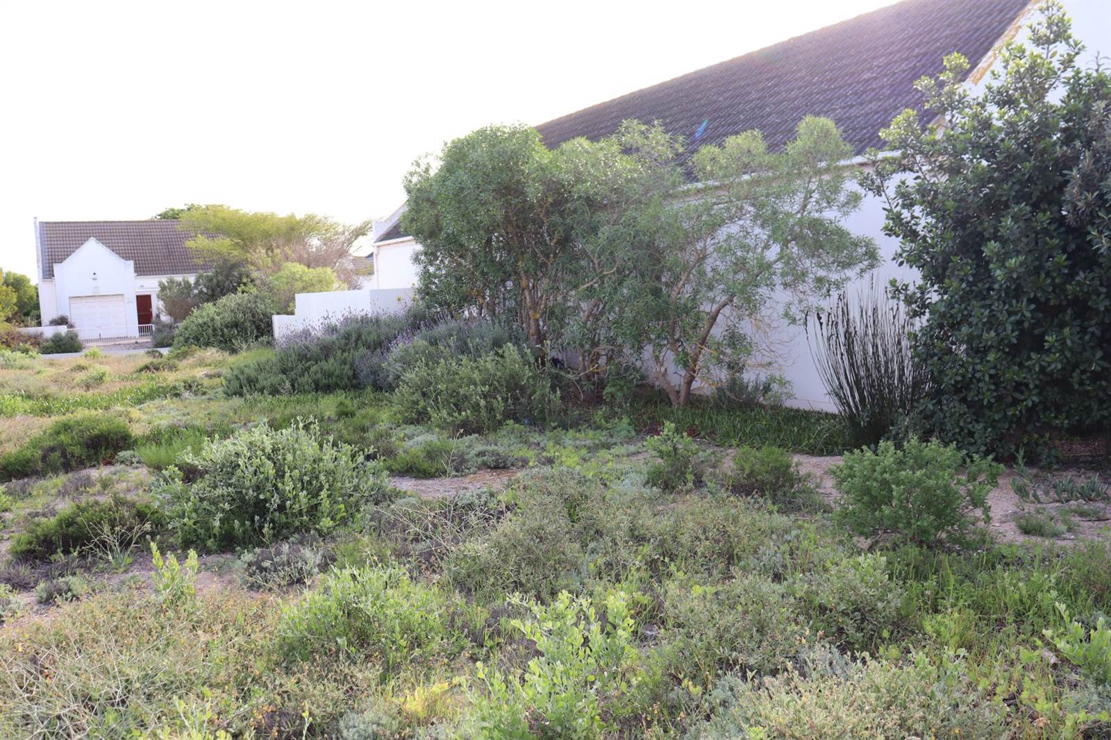 603 m² Land available in Golden Mile photo number 7