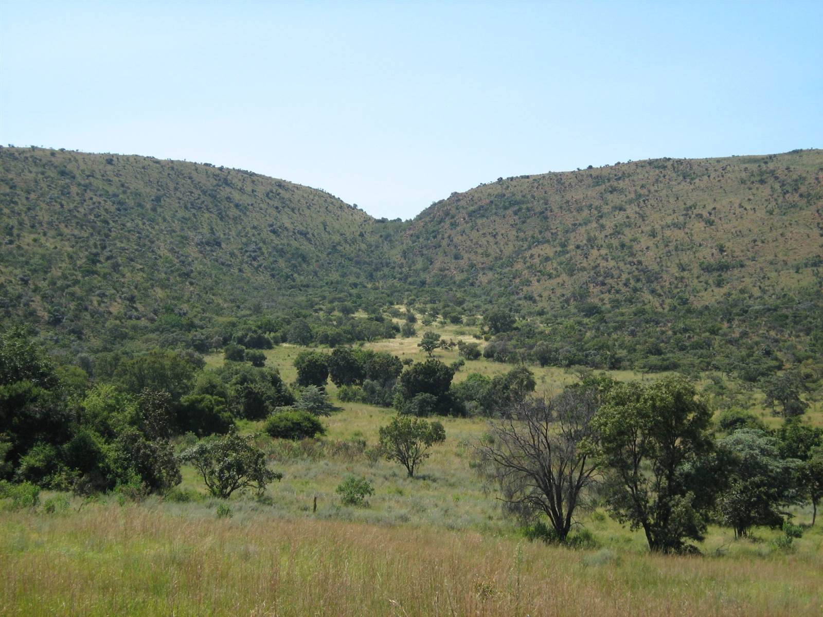 1.8 ha Land available in Modimolle photo number 15