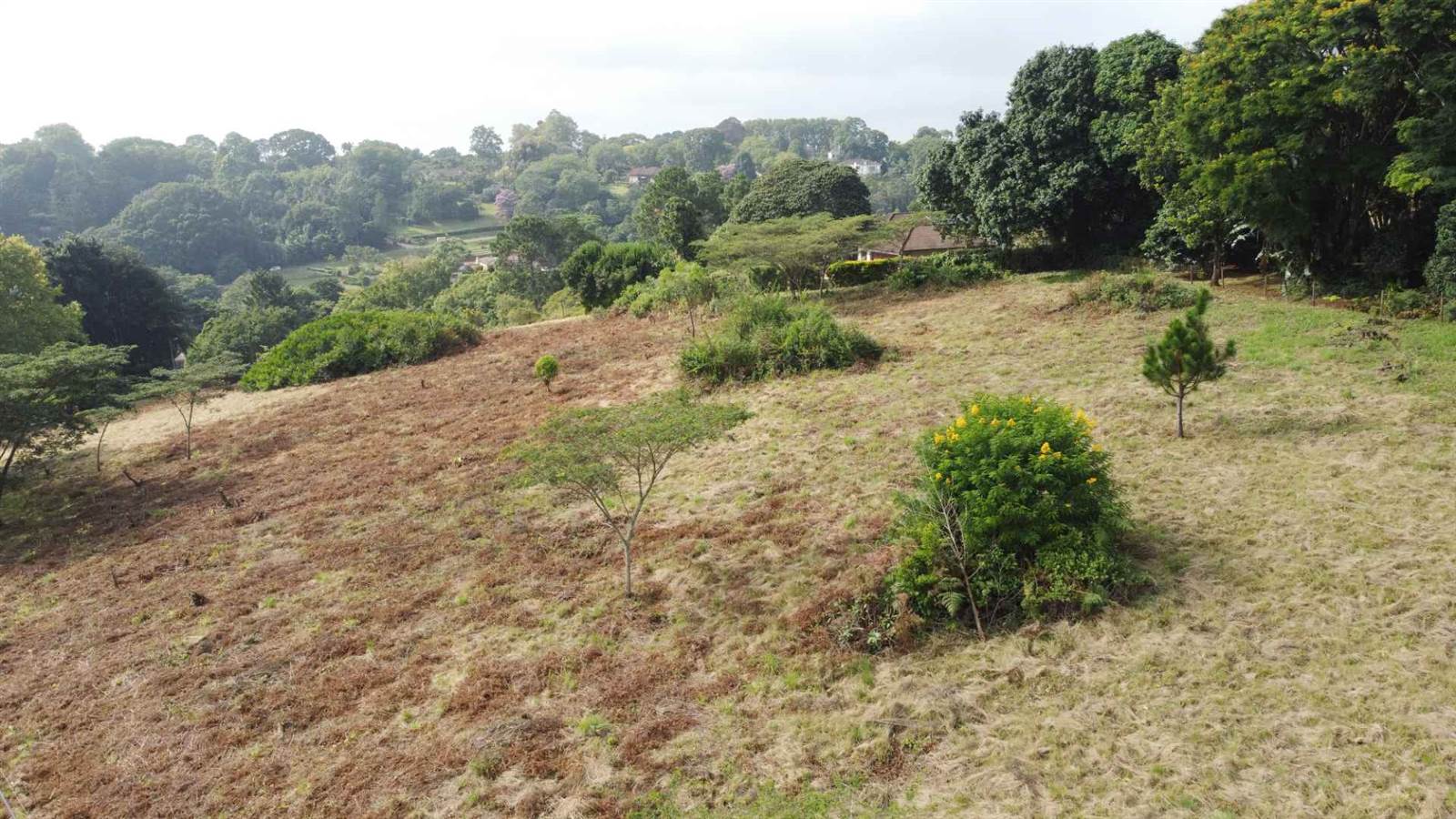 8007 m² Land available in Everton photo number 6