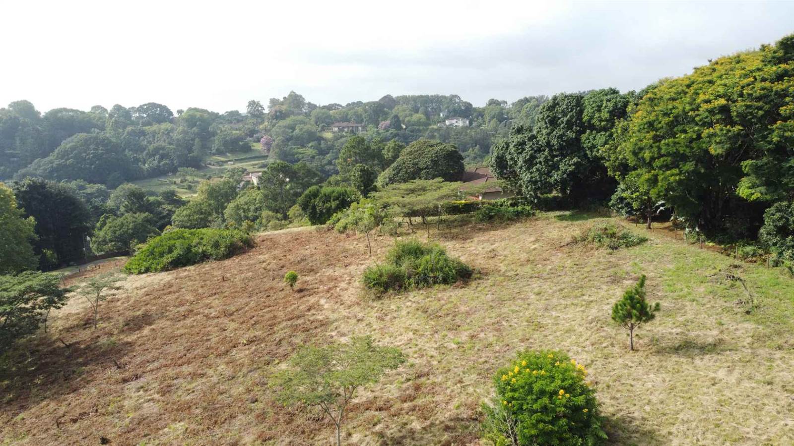 8007 m² Land available in Everton photo number 8