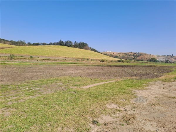 30 ha Farmland