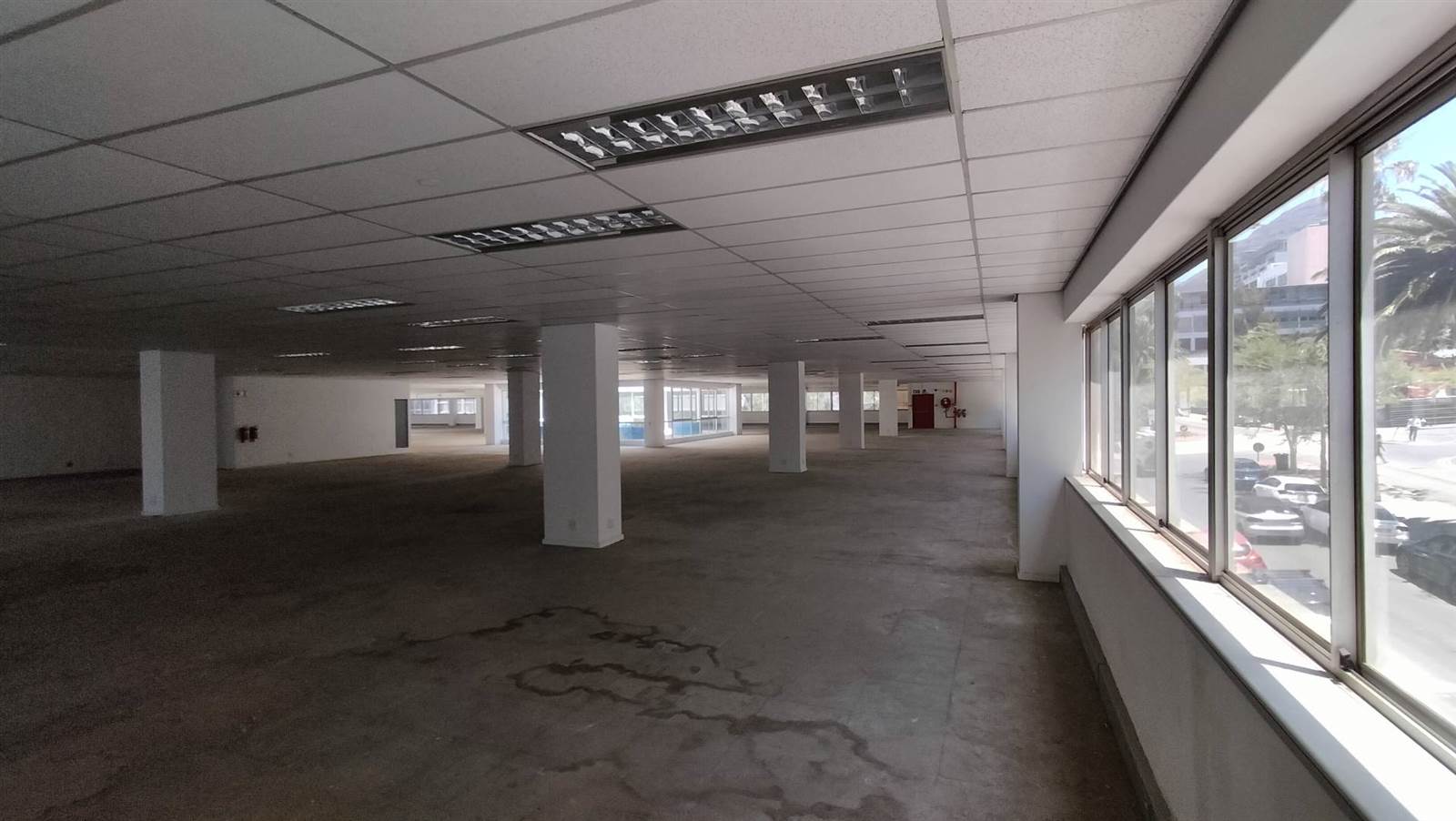 2731  m² Office Space in Cape Town City Centre photo number 7