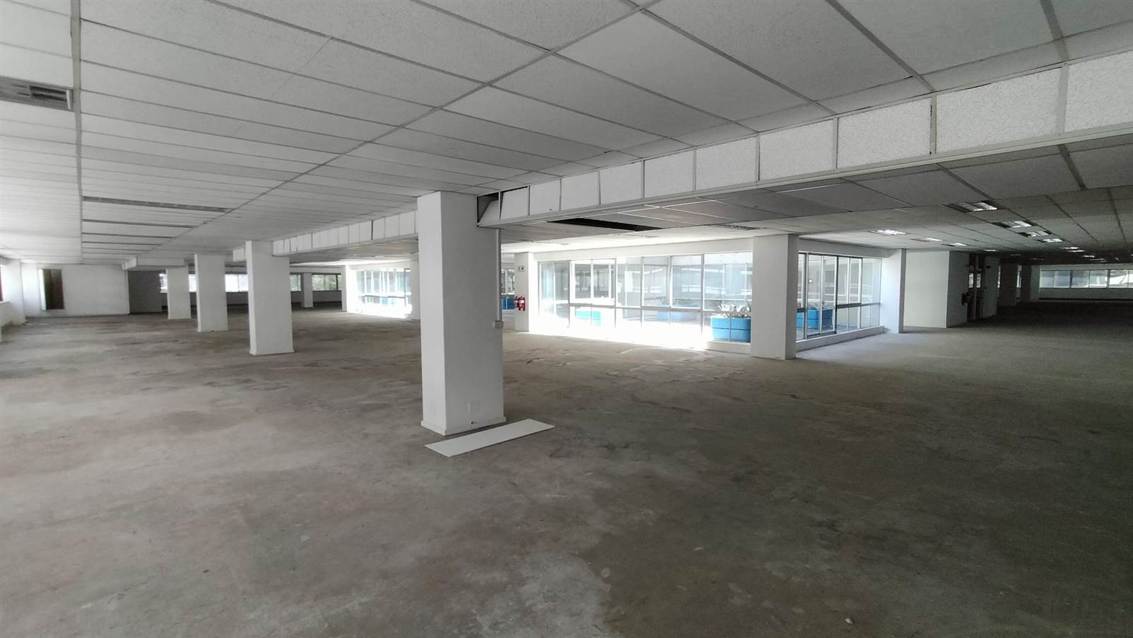 2731  m² Office Space in Cape Town City Centre photo number 4