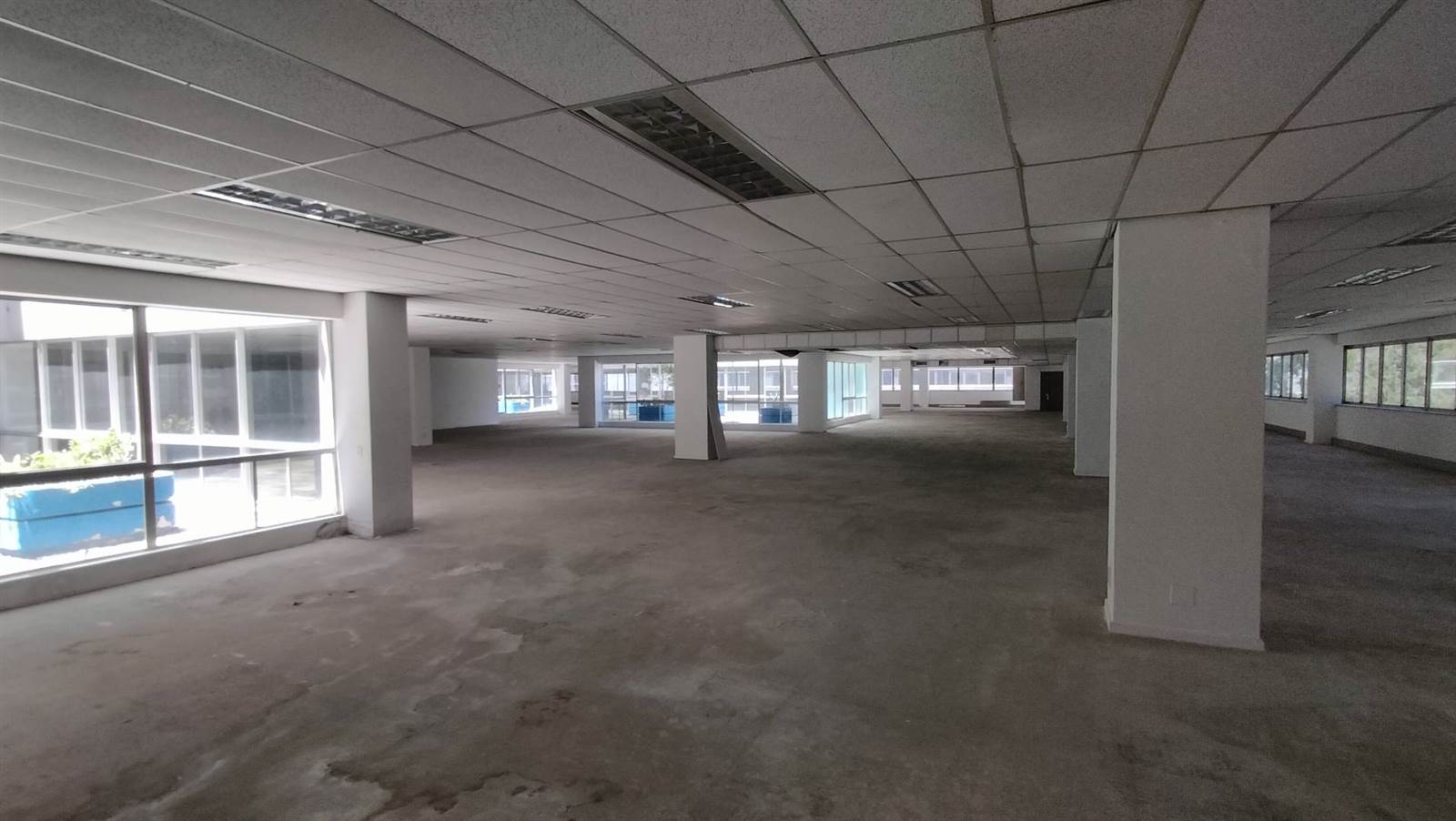 2731  m² Office Space in Cape Town City Centre photo number 9