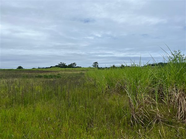 3 ha Land available in Tongaat Central