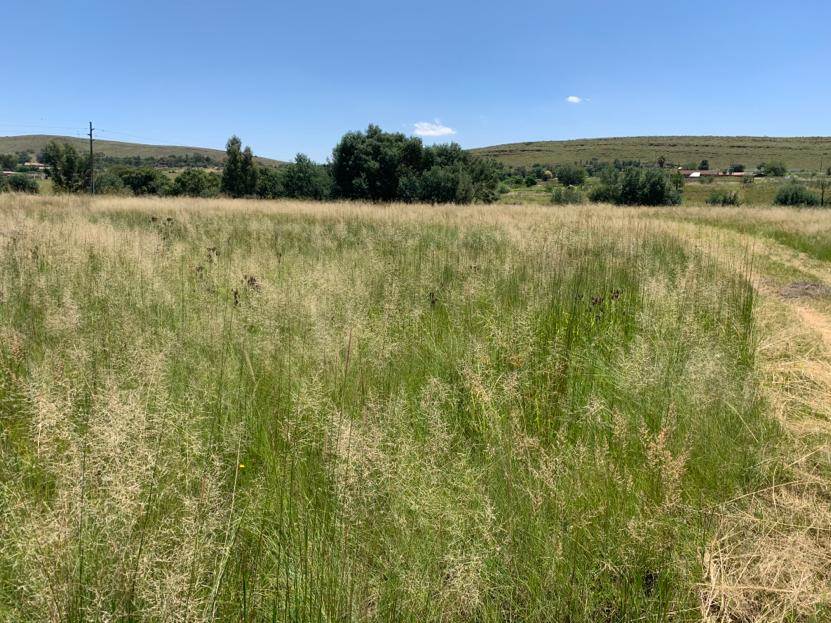 17 ha Land available in Witbank Central photo number 20