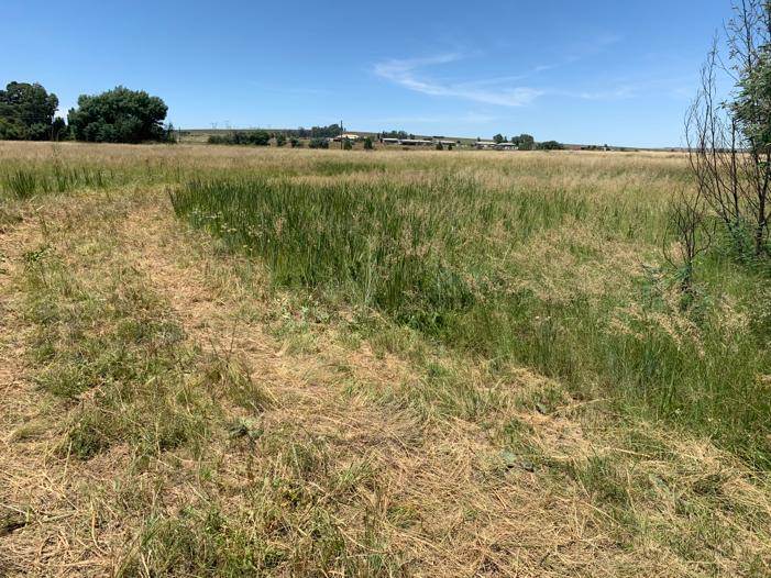 17 ha Land available in Witbank Central photo number 8