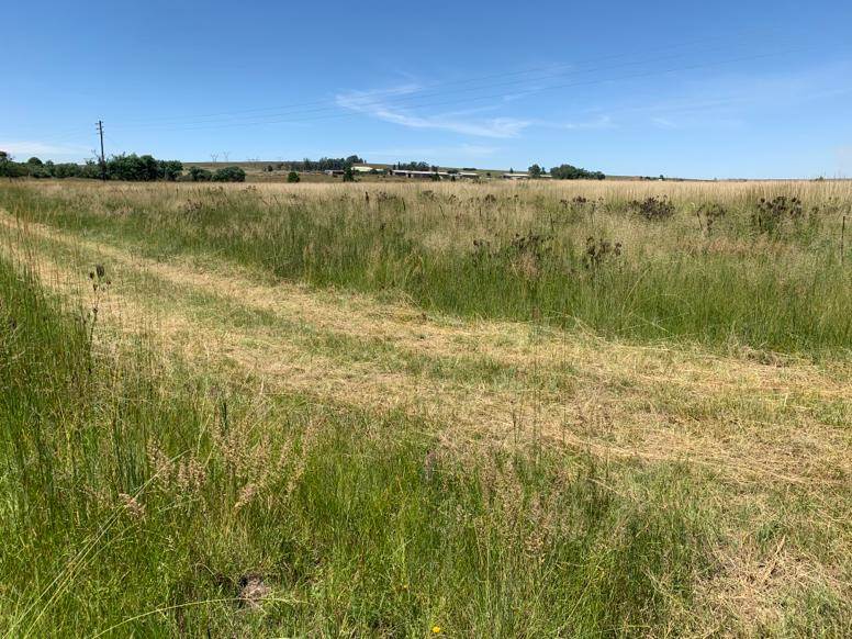 17 ha Land available in Witbank Central photo number 13