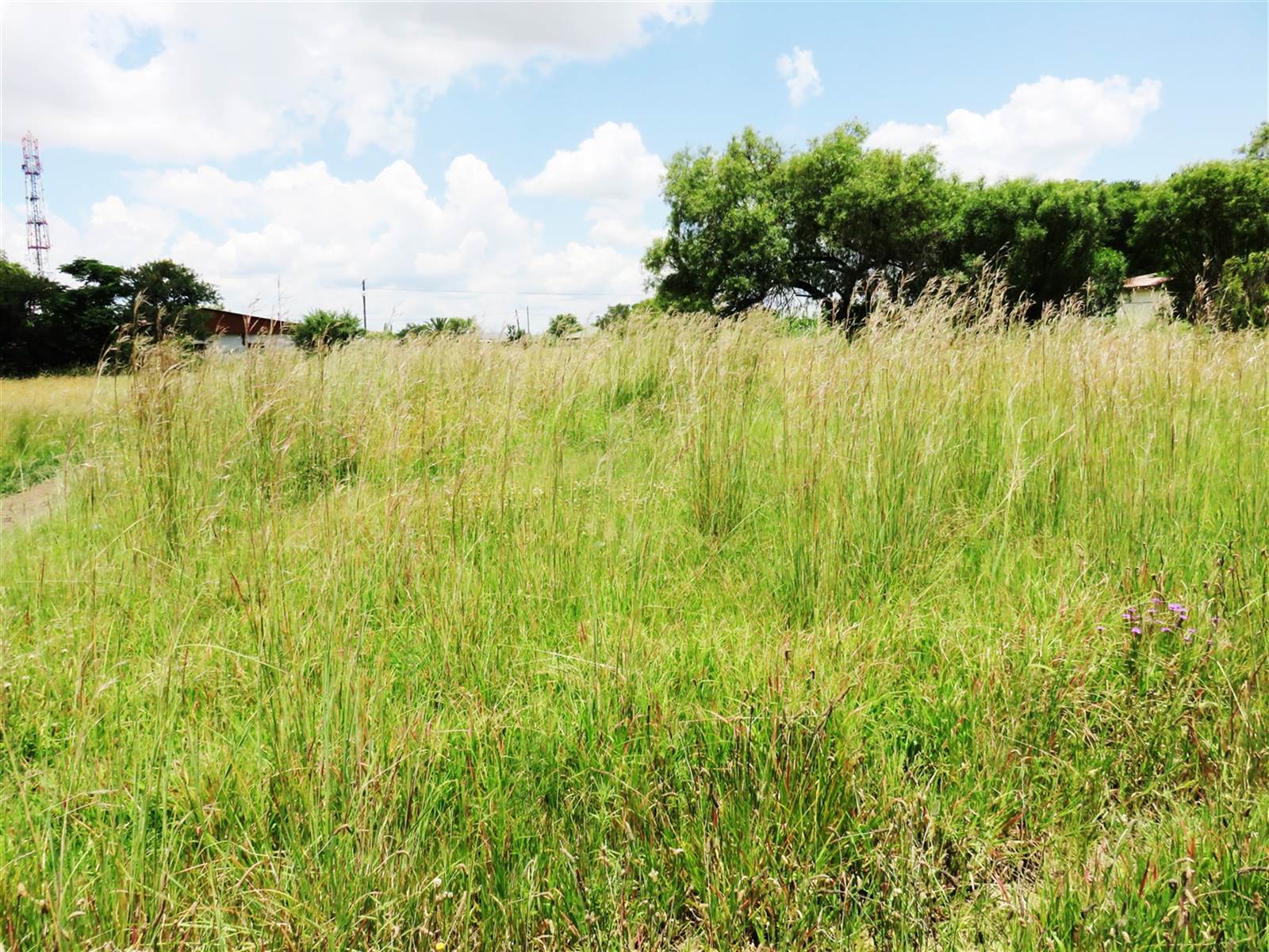 1200 m² Land available in Oranjeville photo number 7