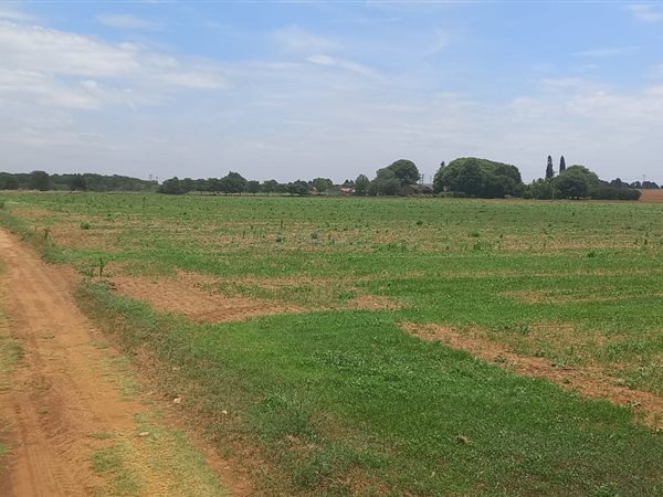 22.3 ha Farm in Tweefontein