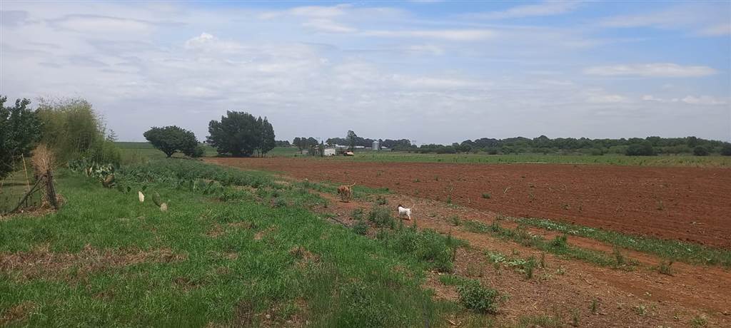 22.3 ha Farm in Tweefontein photo number 5