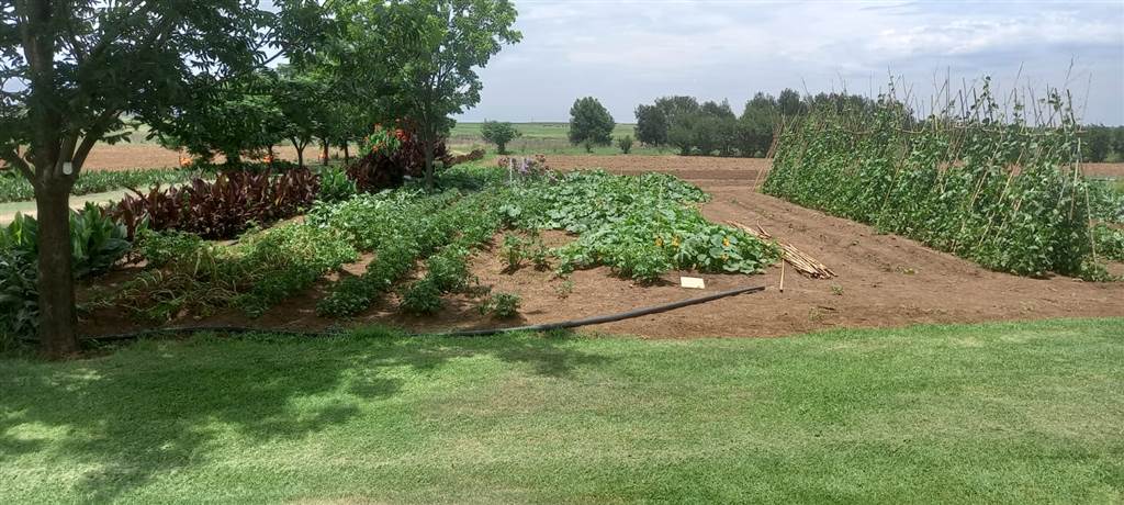 22.3 ha Farm in Tweefontein photo number 12