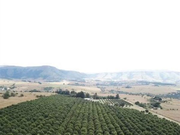 127 ha Farm 127 ha Farm