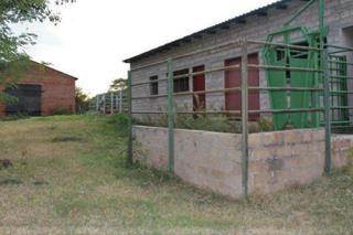 277.5 ha Farm in Mokopane photo number 25
