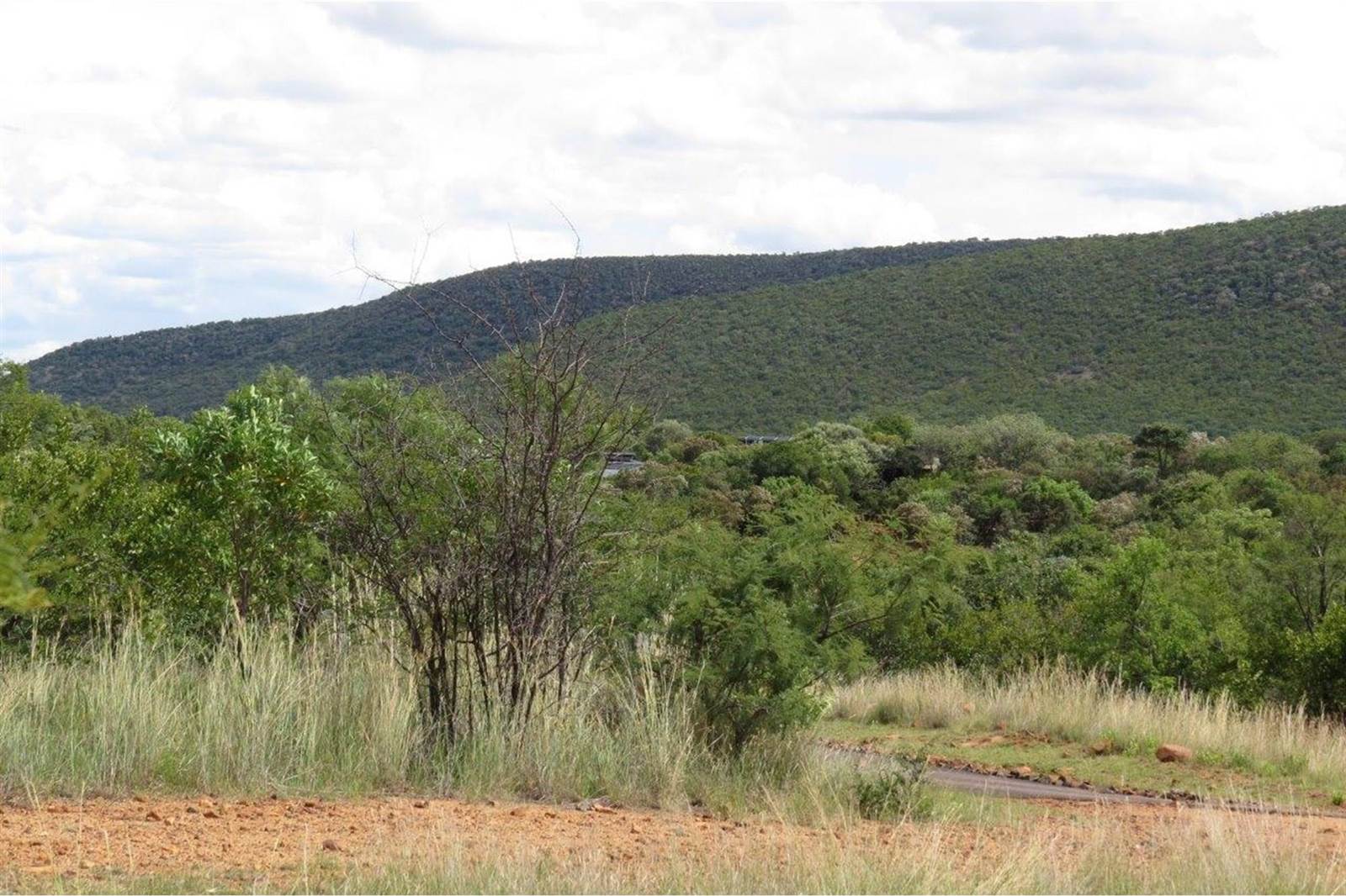 2500 m² Land available in Zwartkloof Private Game Reserve photo number 1