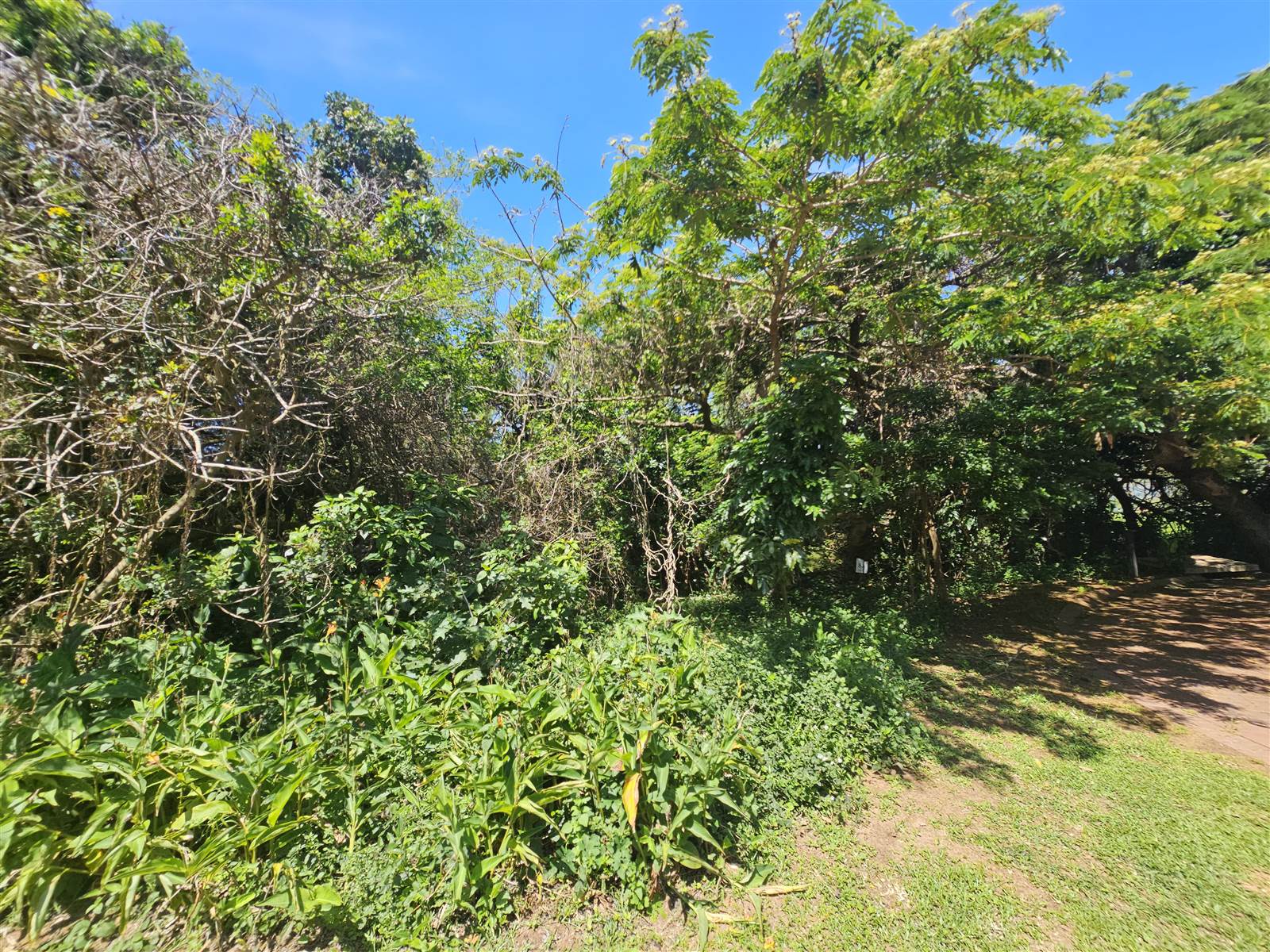 1168 m² Land available in Elaleni Coastal Forest Estate photo number 13