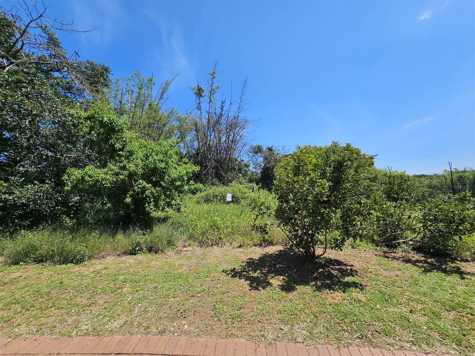 1168 m² Land available in Elaleni Coastal Forest Estate photo number 4