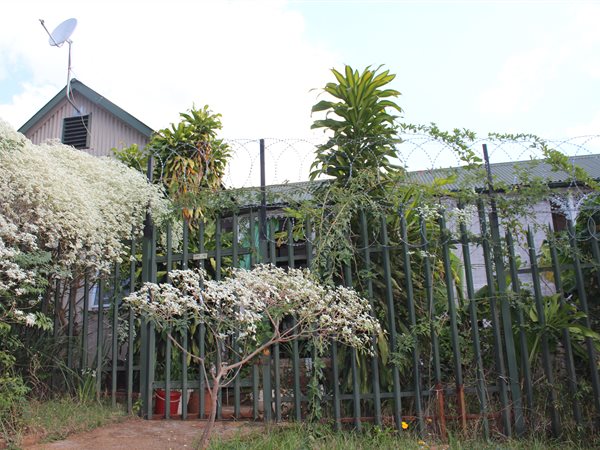 3 Bedroom House 3 Bedroom House