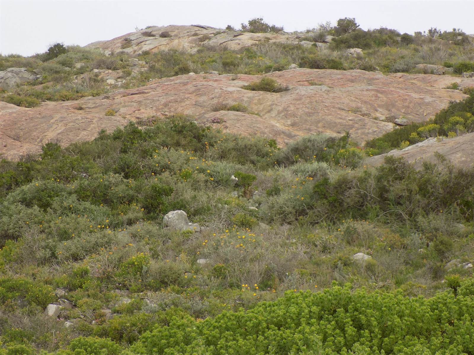 713 m² Land available in Langebaan photo number 9