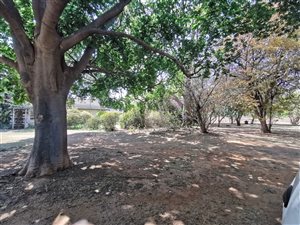 8311 m² Smallholding in Chantelle