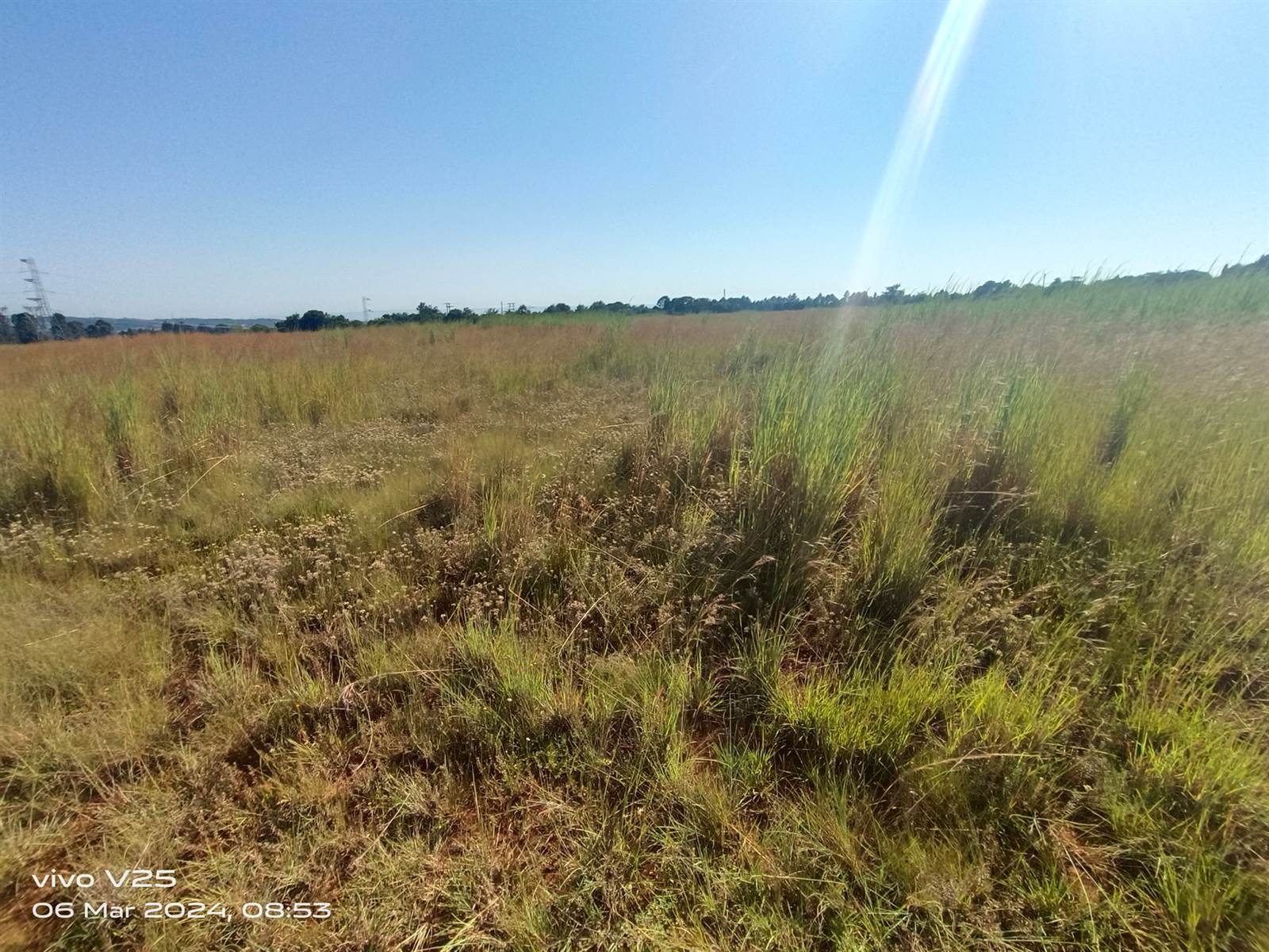 10 ha Land available in Bashewa photo number 7