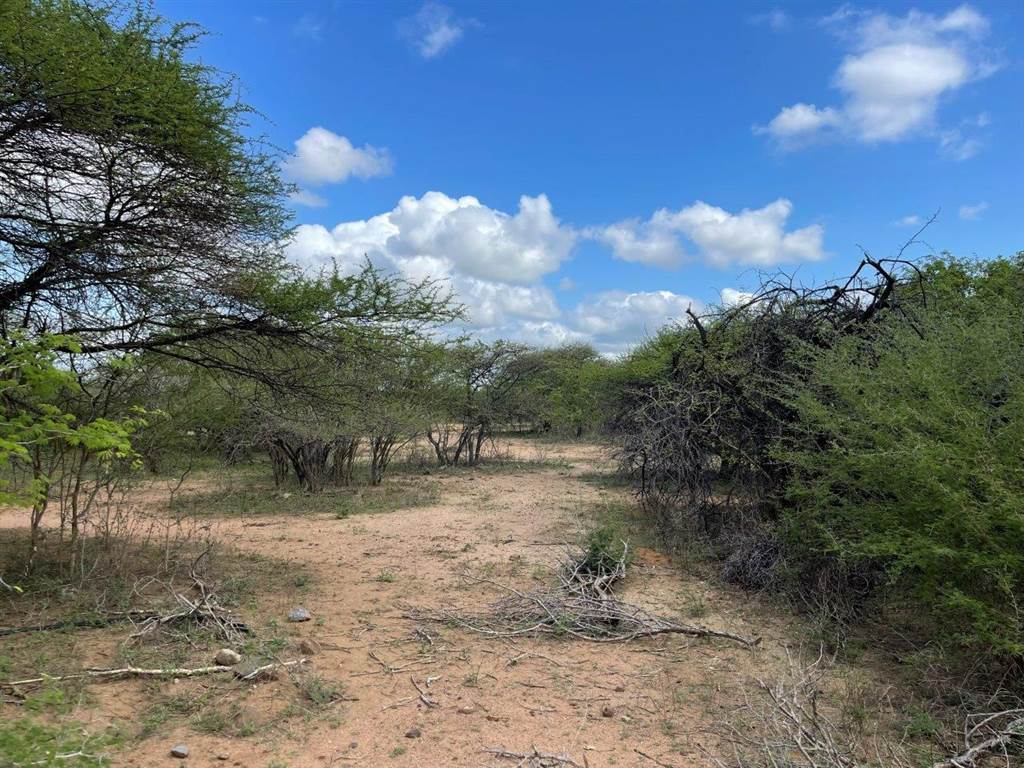 3464 m² Land available in Blyde Wildlife Estate photo number 3