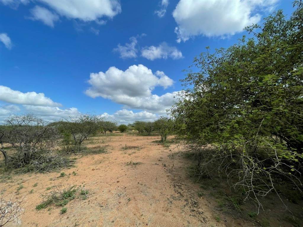 3464 m² Land available in Blyde Wildlife Estate photo number 13
