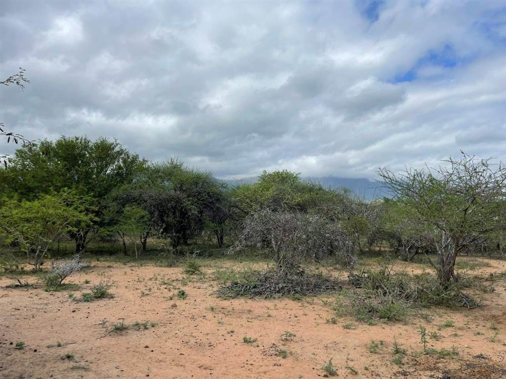 3464 m² Land available in Blyde Wildlife Estate photo number 5