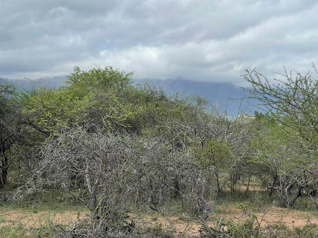3464 m² Land available in Blyde Wildlife Estate photo number 4