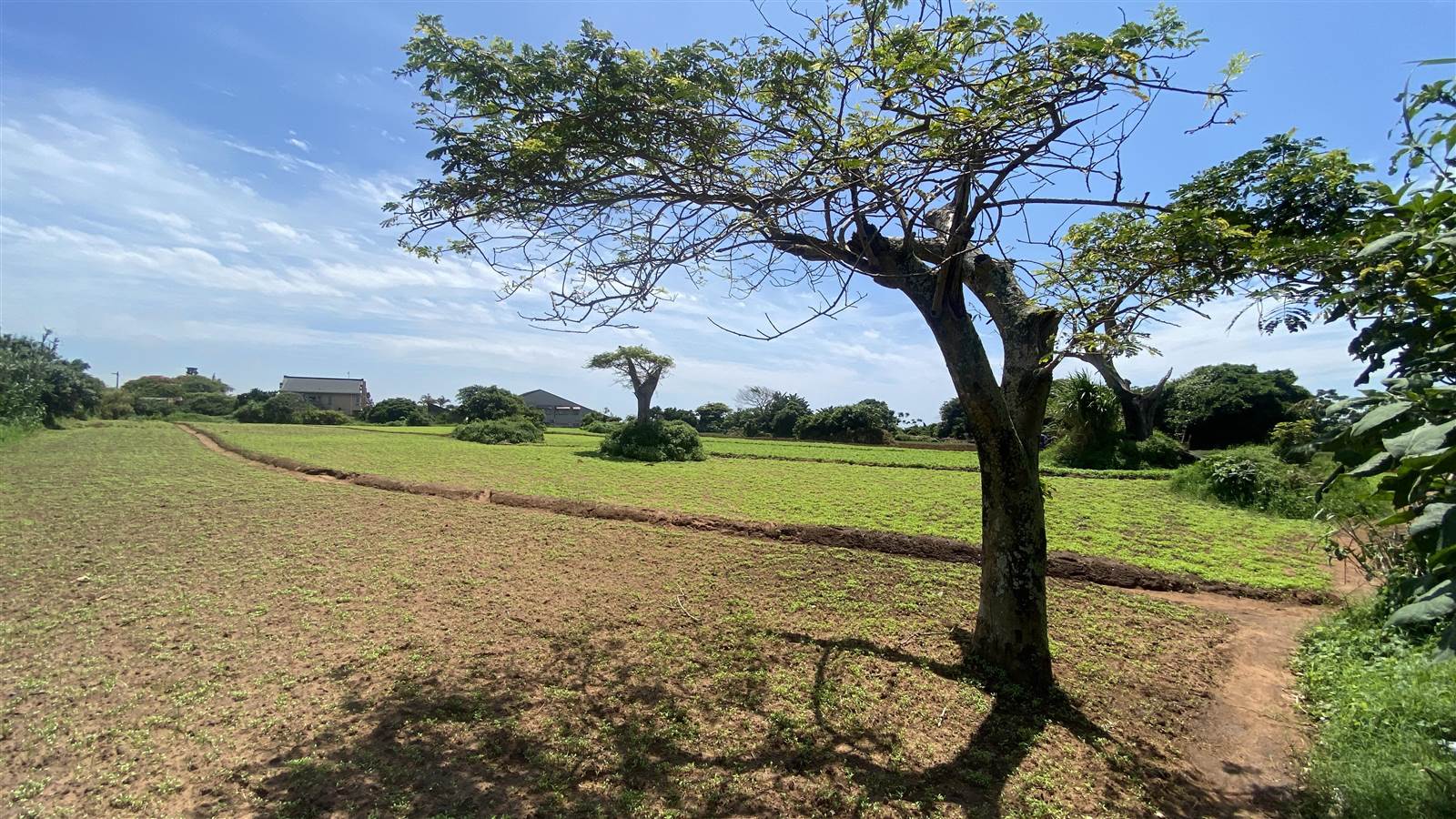 14.1 ha Land available in Desainagar photo number 6