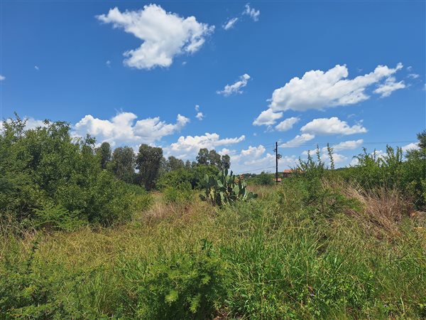 1169 m² Land available in Vaal Marina