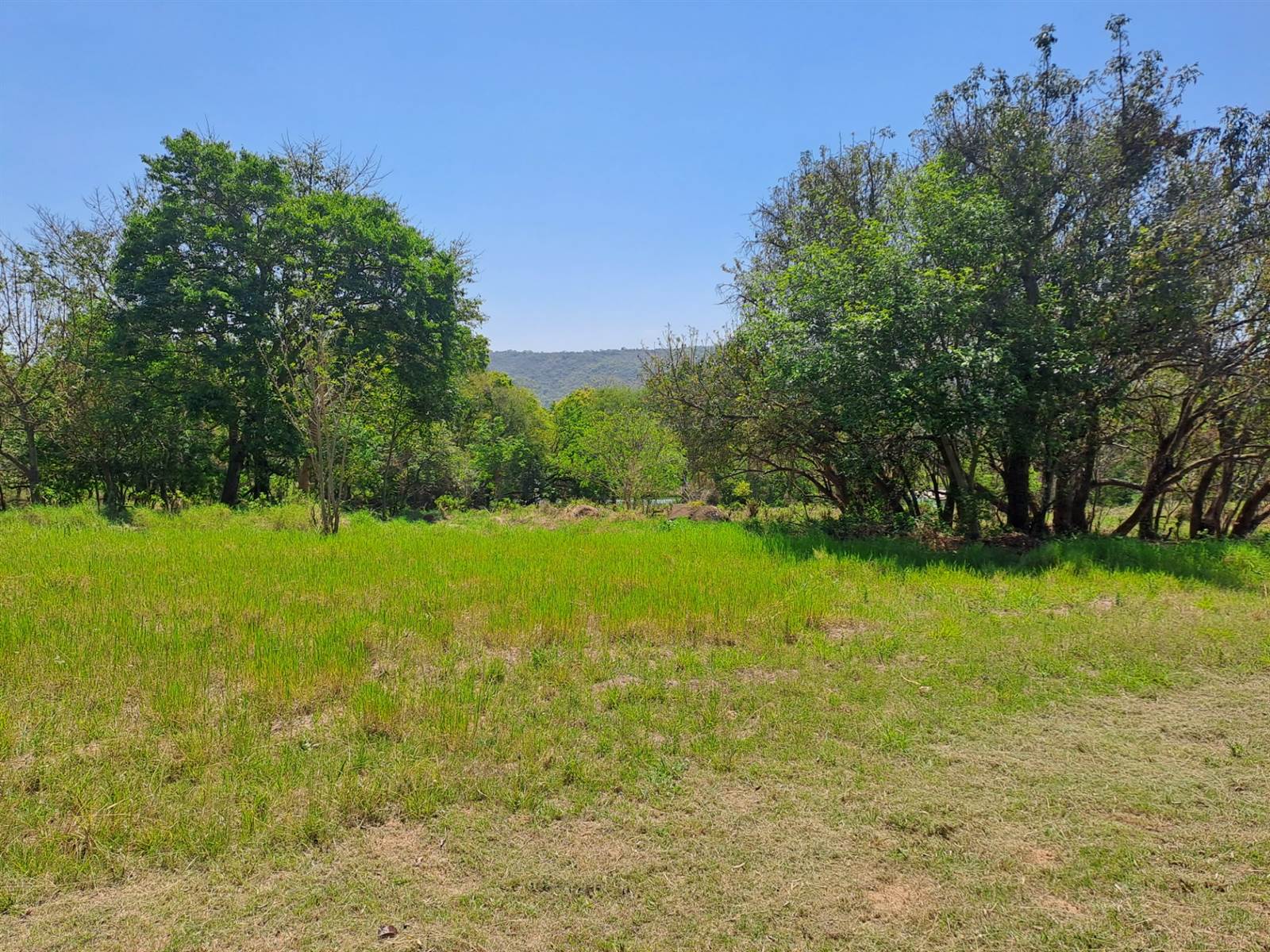 1595 m² Land available in Hazyview photo number 1