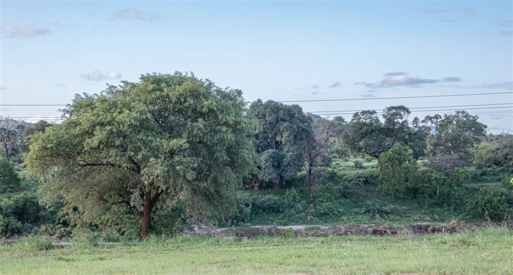 2451 m² Land available in Malelane photo number 14