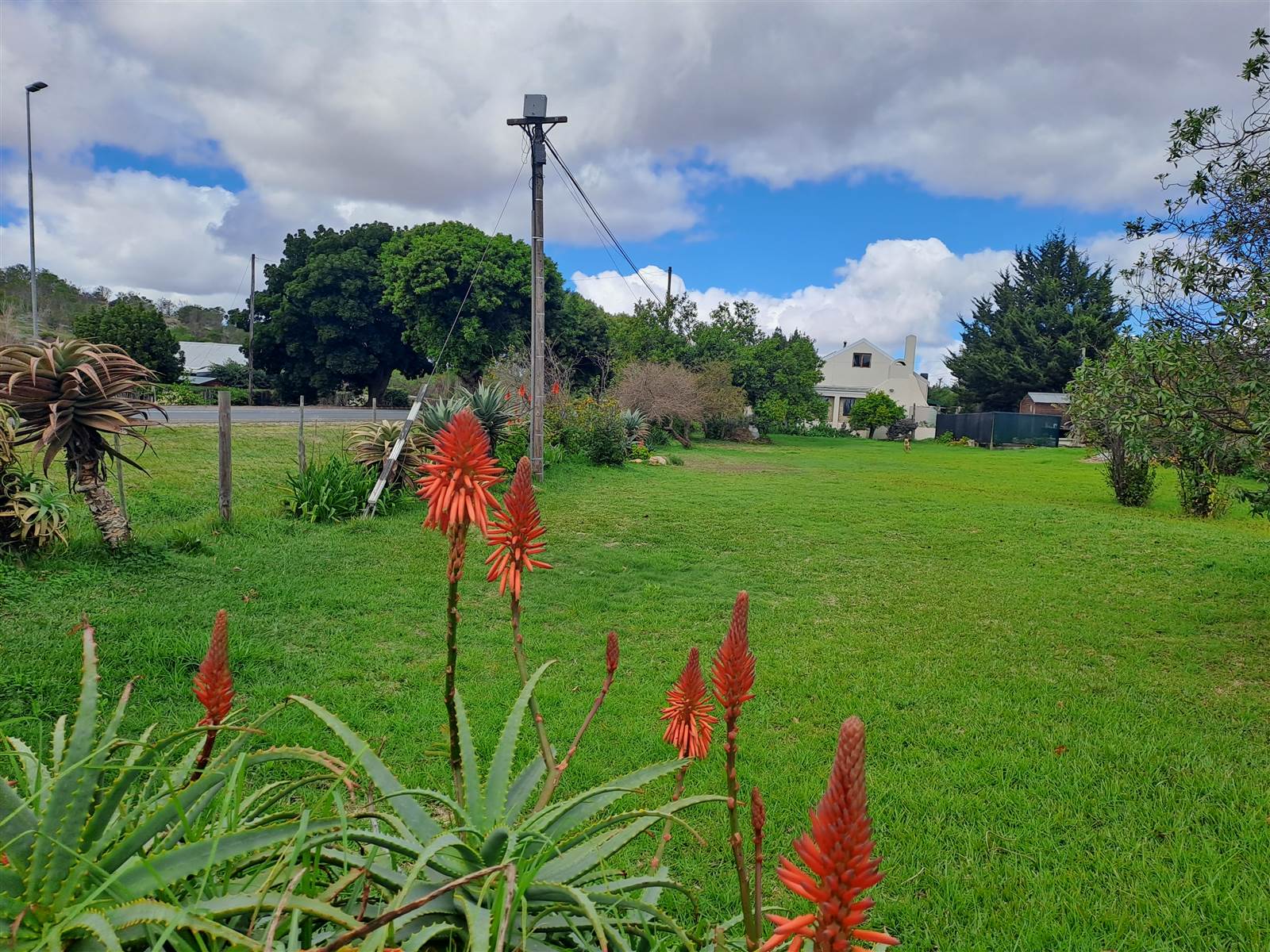 850 m² Land available in Napier photo number 1