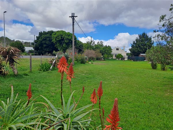 850 m² Land available in Napier