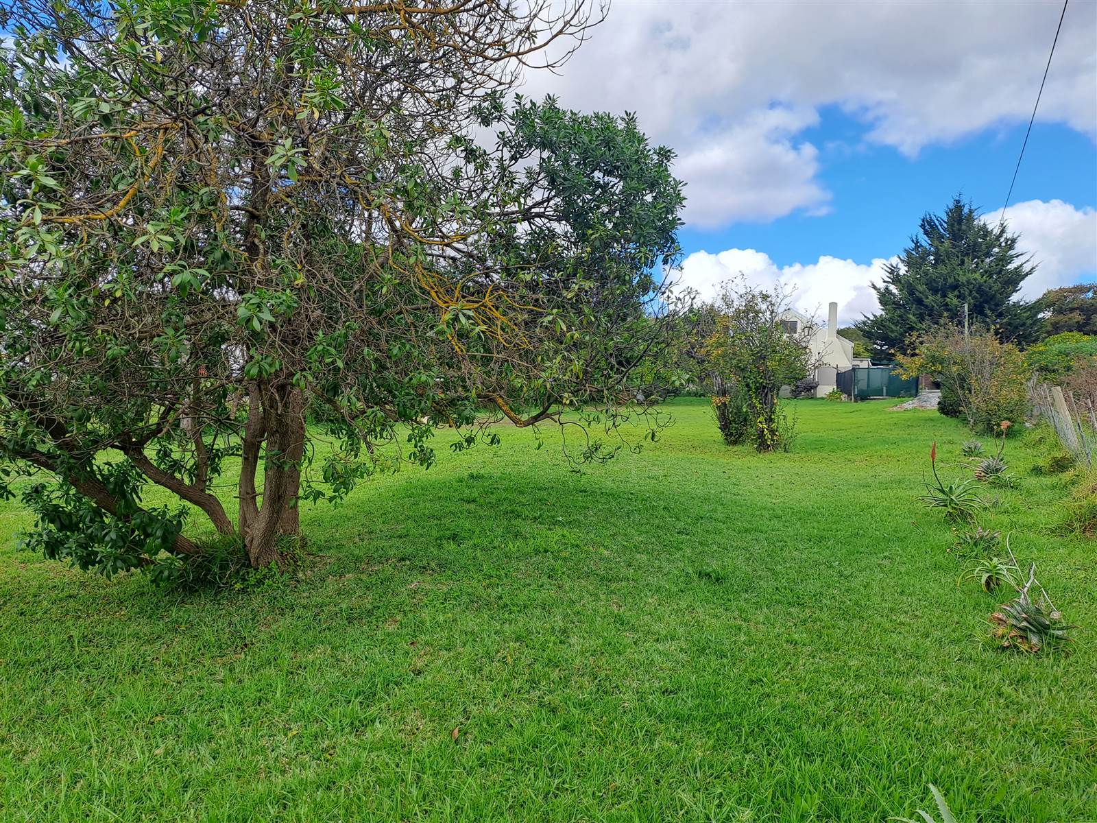 850 m² Land available in Napier photo number 7