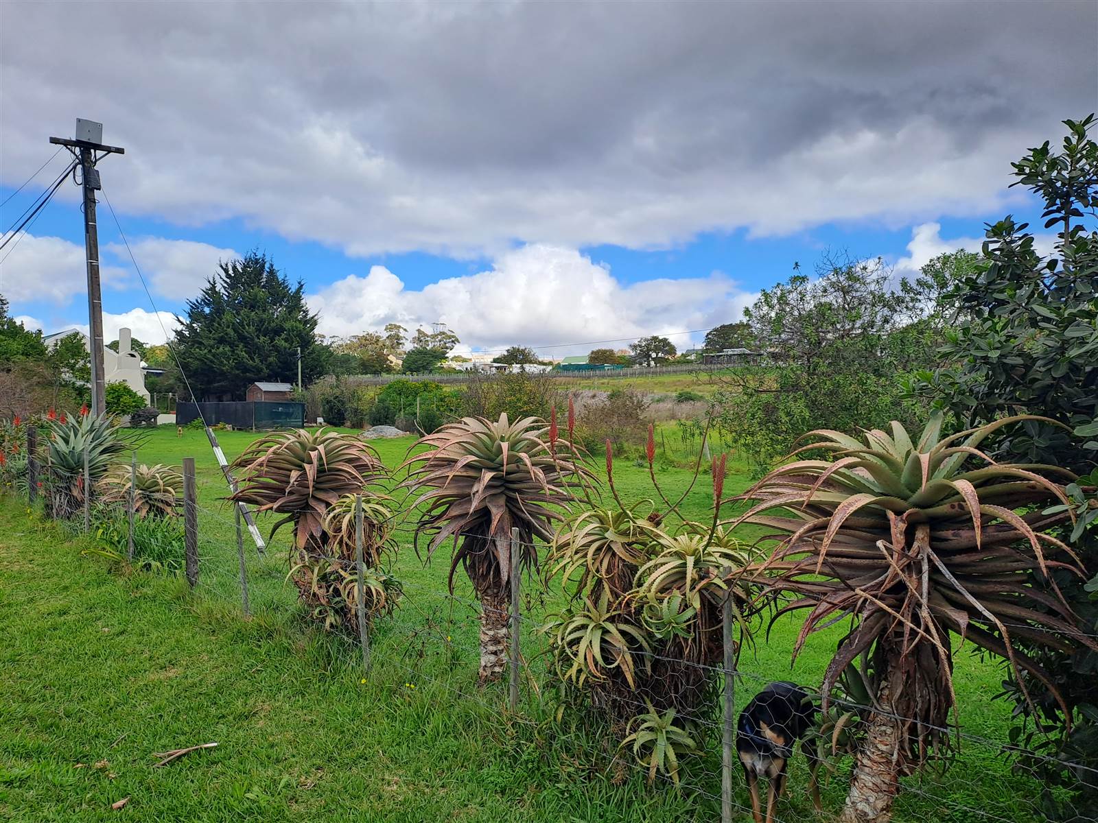 850 m² Land available in Napier photo number 6