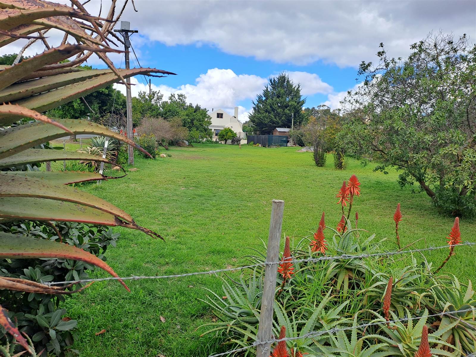 850 m² Land available in Napier photo number 5