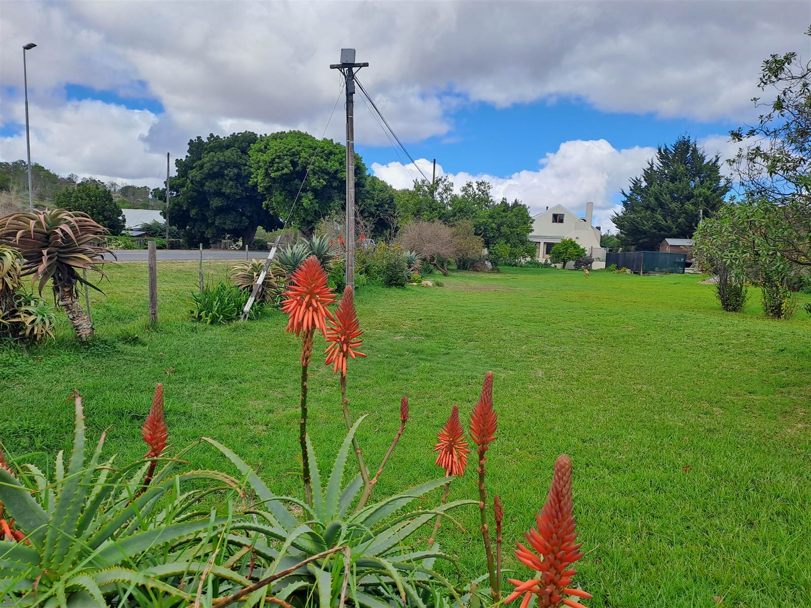 850 m² Land available in Napier photo number 11